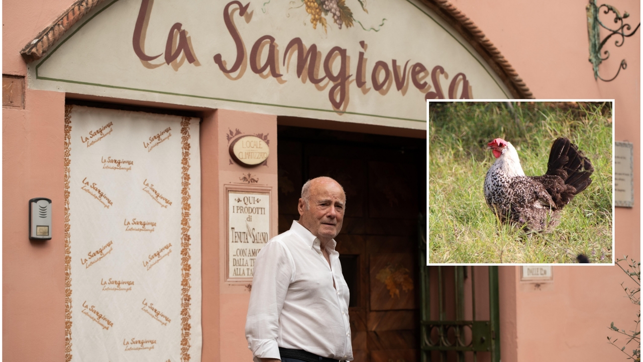 L’imprenditore visionario Manlio Maggioli ha aperto un allevamento alla Tenuta Saiano, dove gli esemplari finiscono direttamente nelle cucine dell’agriturismo