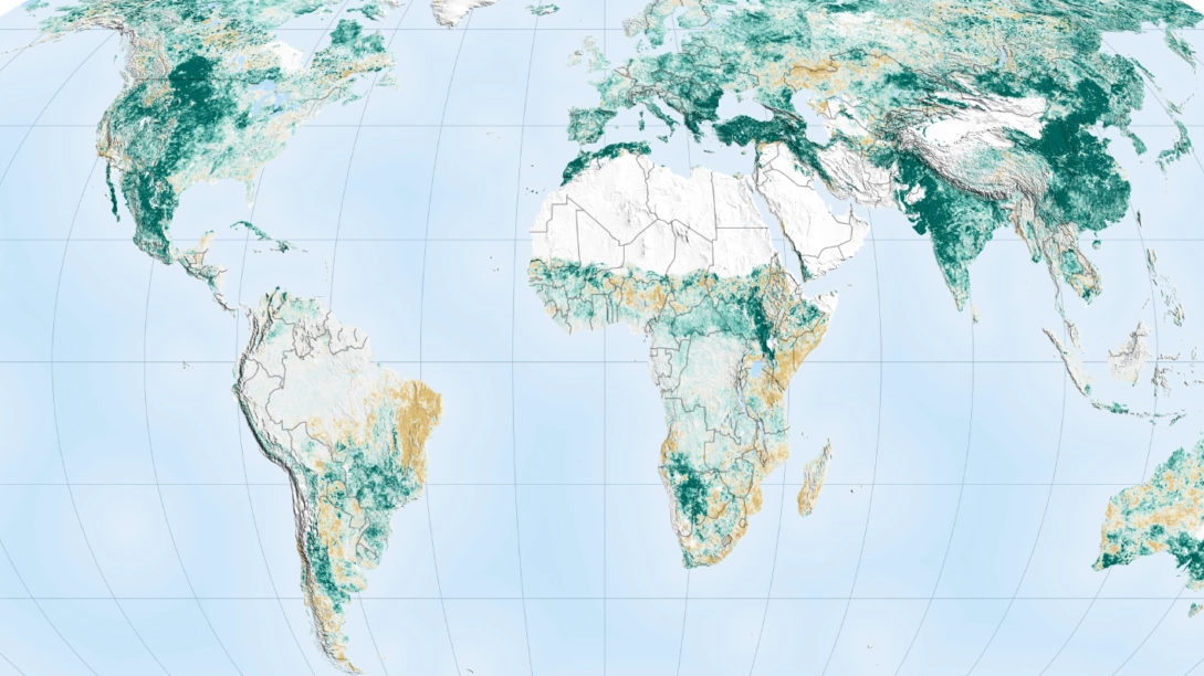 Le aree che si sono inverdite tra il 2000 e il 2017 (in verde) e quelle dove è diminuita la vegetazione (in marrone). Fonte: Nasa