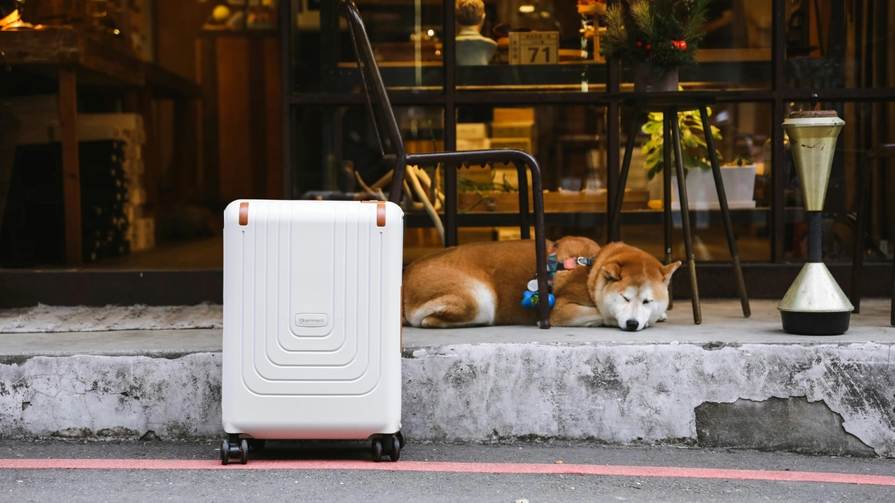 In vacanza con gli animali domestici: gli oggetti che non possono mancare in valigia