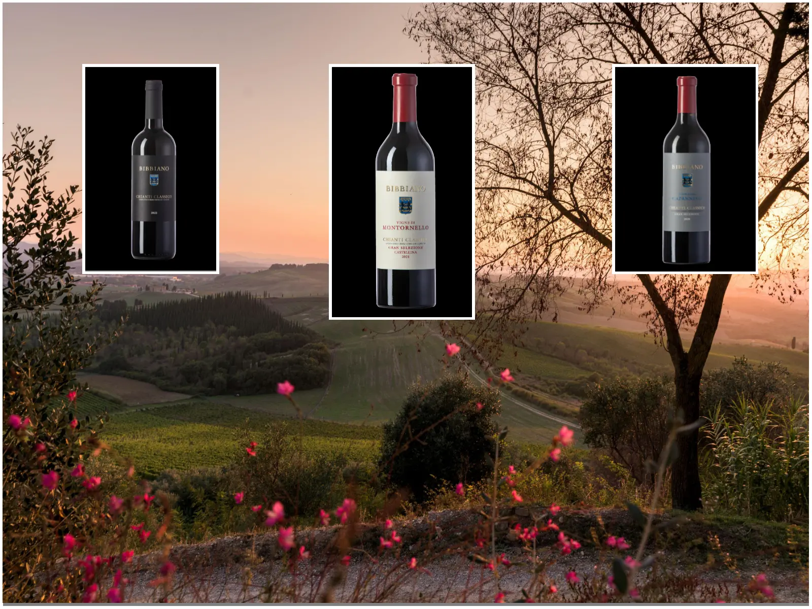 Bibbiano, il Chianti Classico vestito a cru