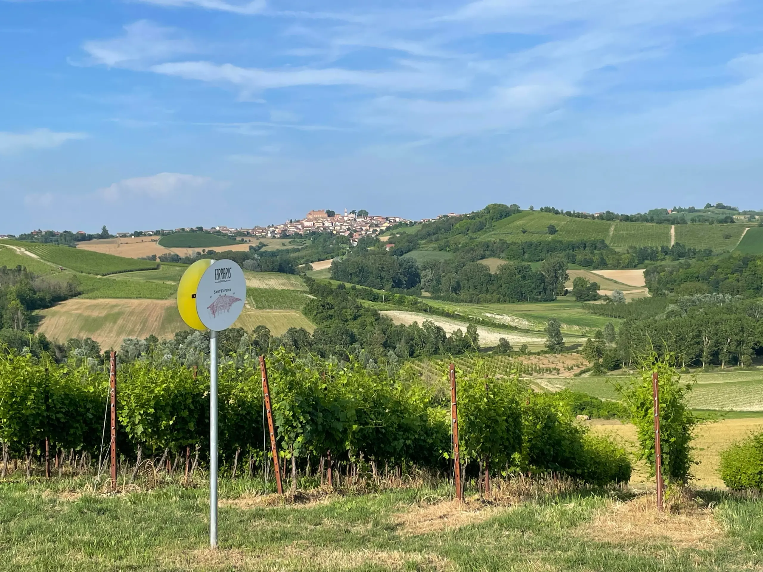 Vigna del Parroco: 60 anni di Ruché, il piccolo miracolo enologico