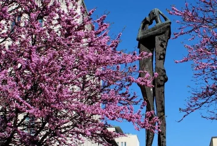 I fidanzatini di piazza Oberdan. Quell’amore distrutto dal nazismo