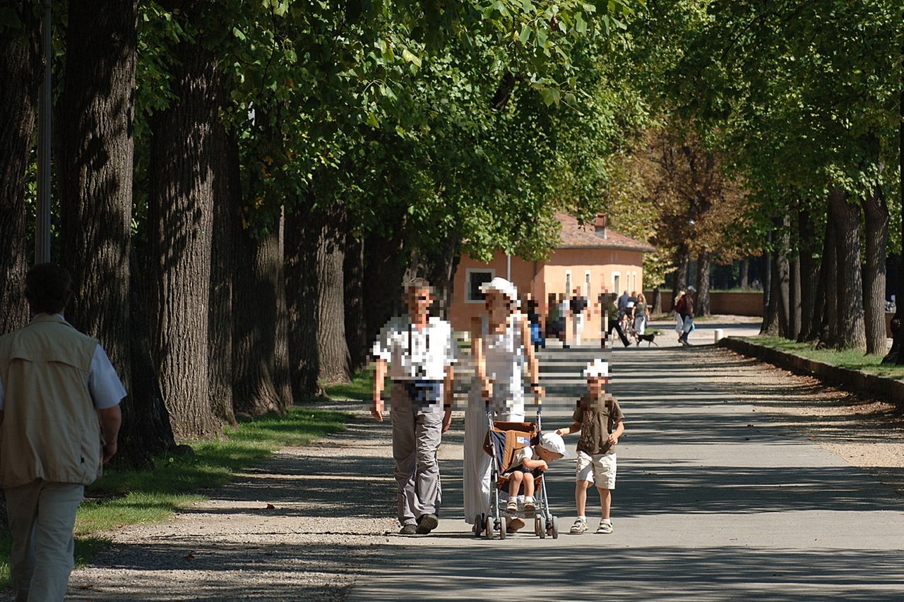 Va avanti la messa in sicurezza per le Mura (foto Alcide)