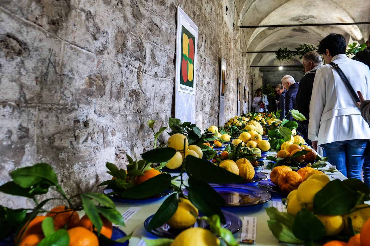 Limoni del Garda