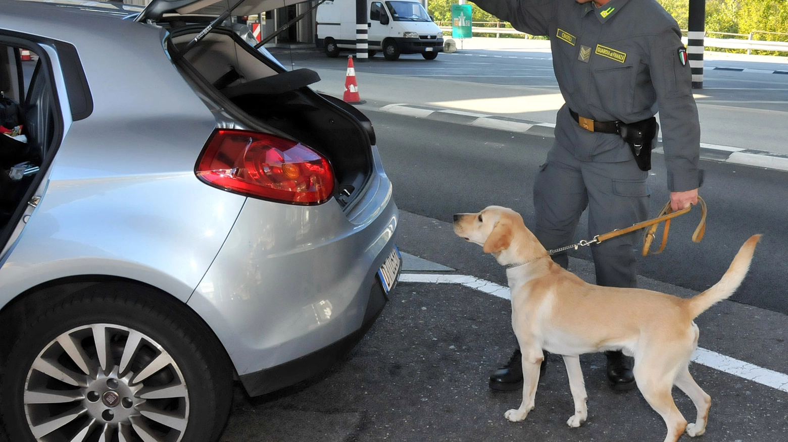 Operazione con l'ausilio di unità cinofila 'cash dog'