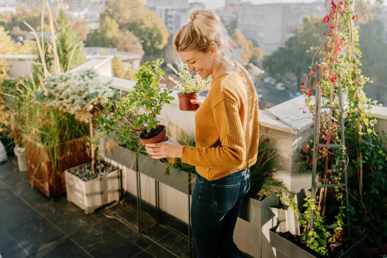 Arriva la primavera, voglia di giardinaggio: ma attenzione alle specie aliene invasive, i consigli dell'esperto