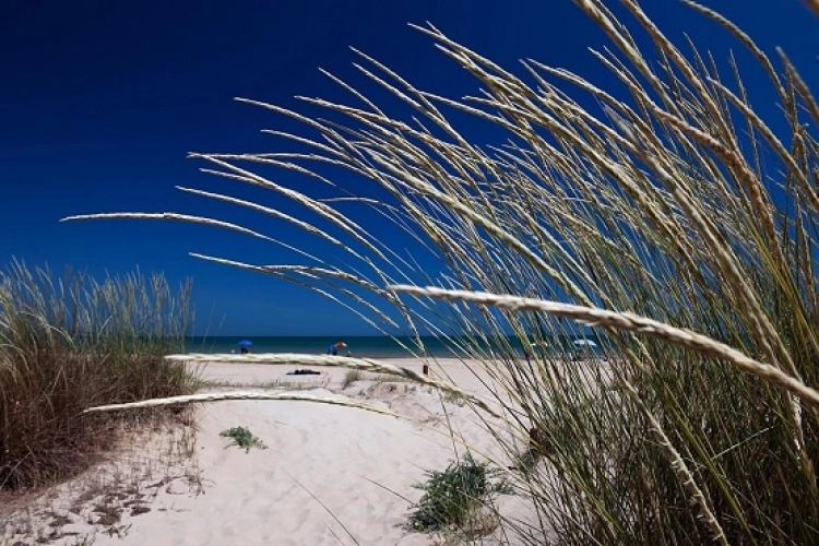 La spiaggia di San Salvo, biotopo costiero e Sito di interesse comunitario (ph. sansalvo.info)