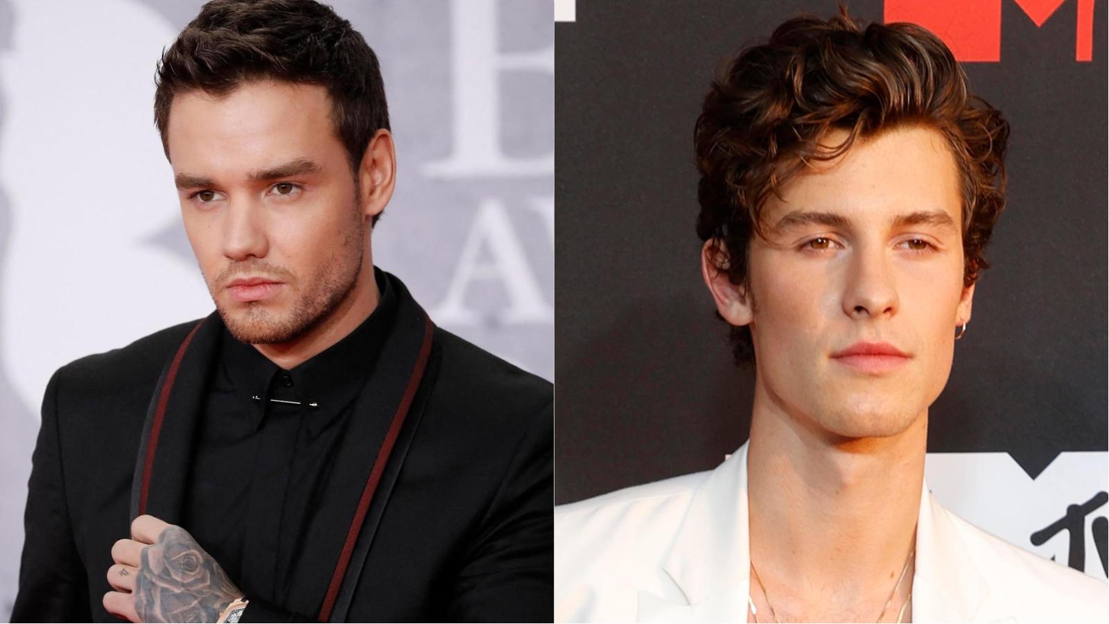 Dalla morte di Liam Payne ai problemi di Shawn Mendes: nasce la petizione per la salute mentale degli artisti