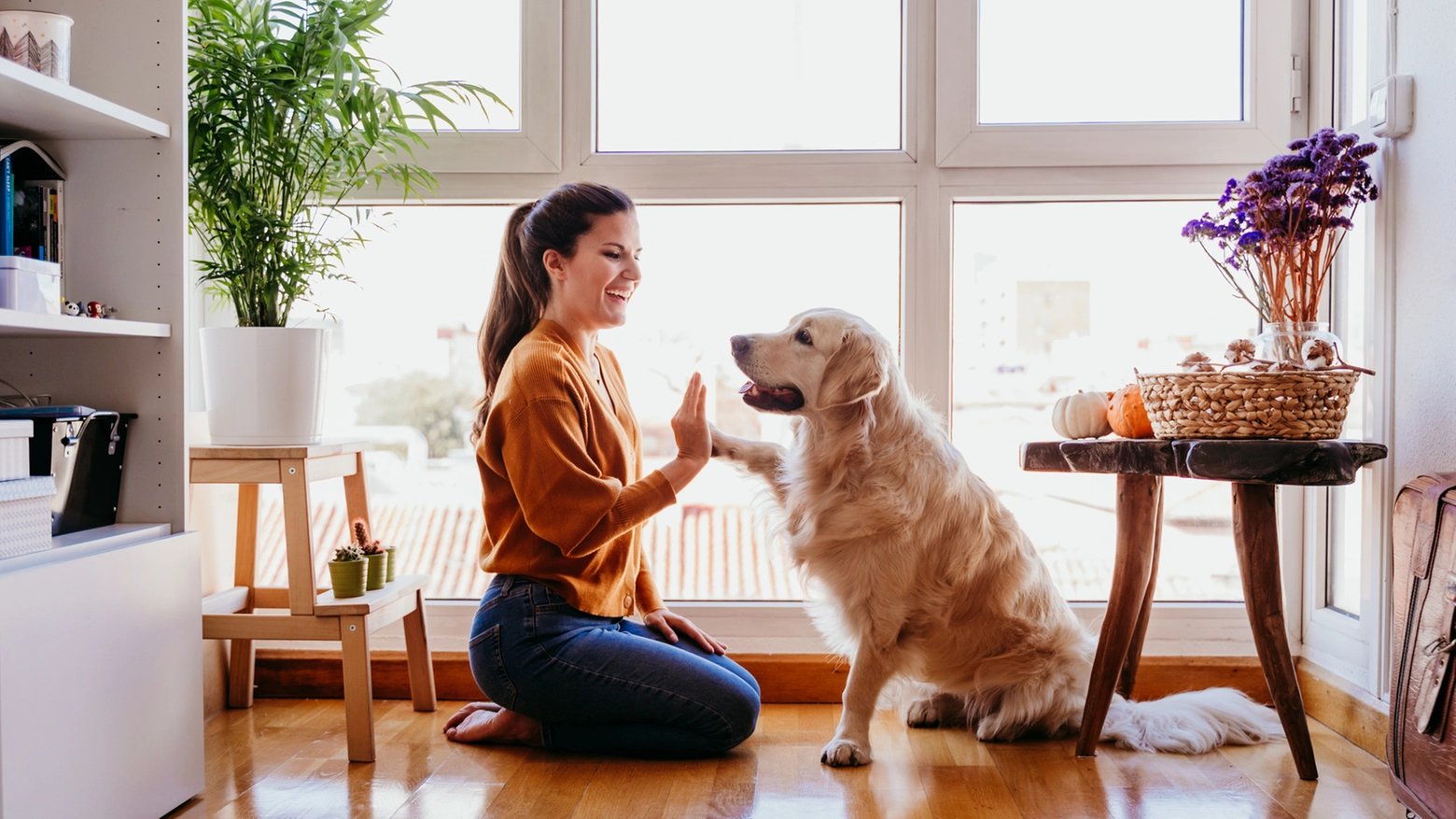 Cani in condominio - Crediti iStock Photo