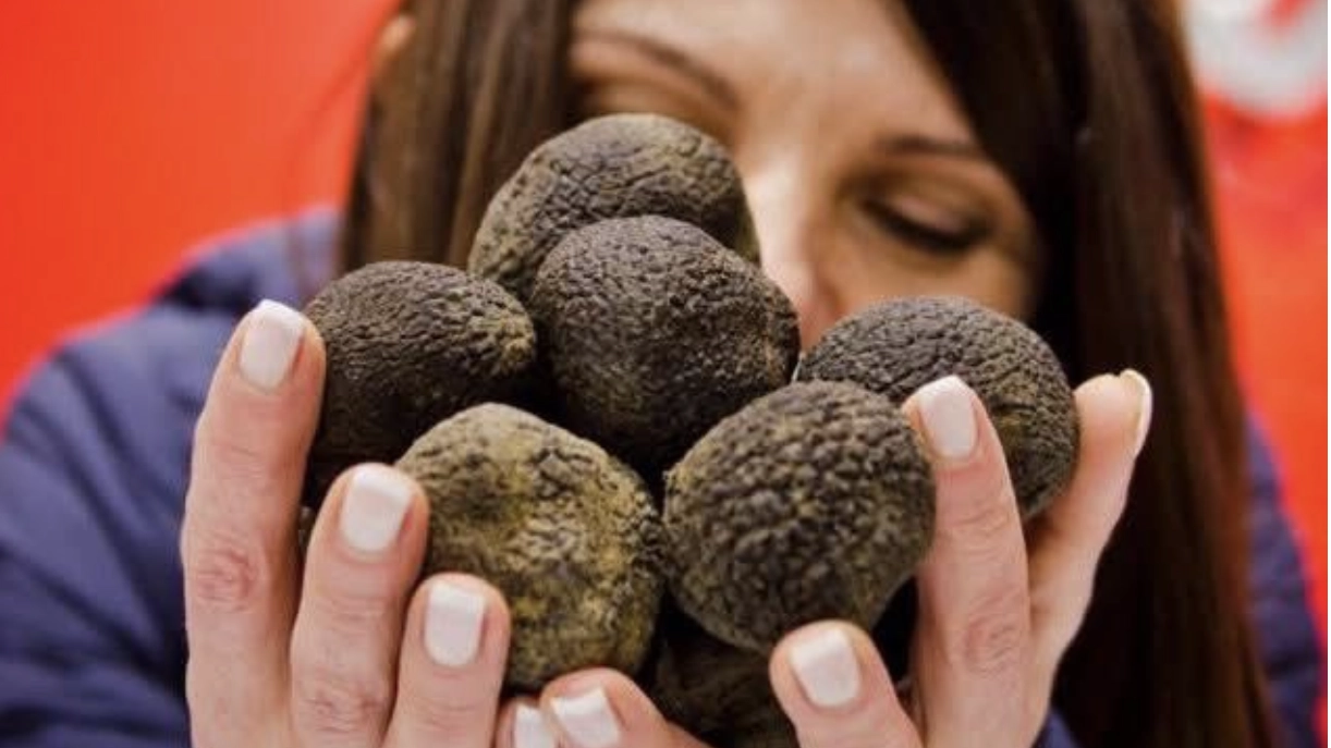 Il tartufo nero di Roccafluvione debutta col suo primo festival