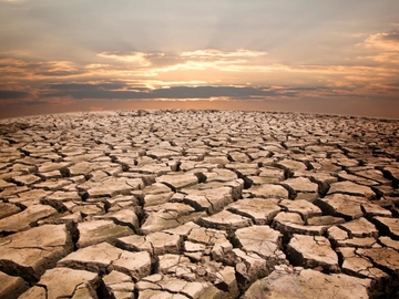 Tropici al Nord Italia e deserti nel Meridione. Come sta cambiando il clima della penisola