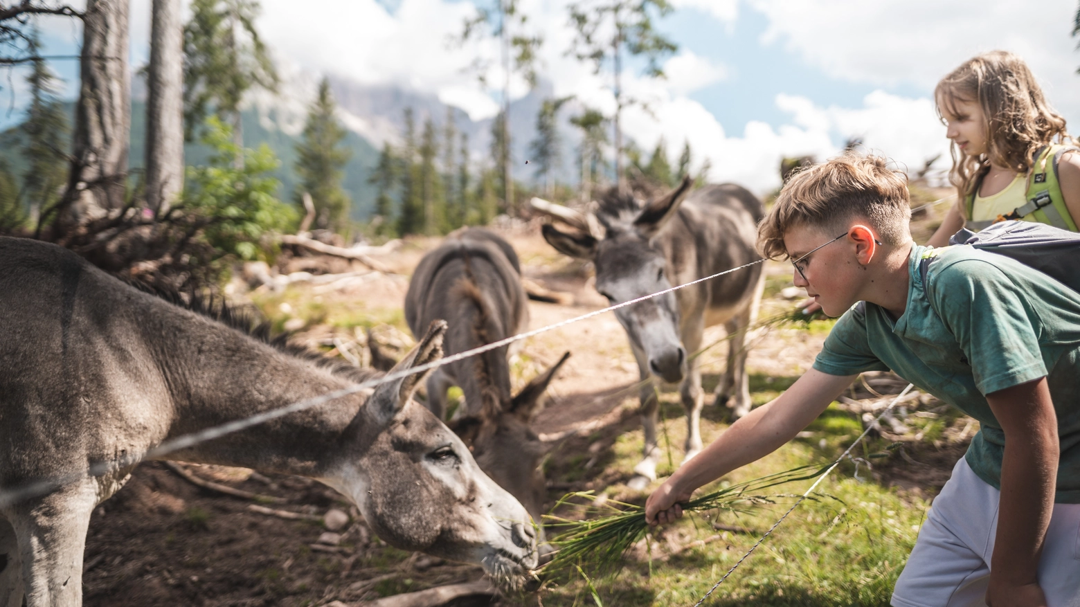 Ecco una meta di fine estate all’insegna della natura, del relax e della sostenibilità. Alpaca e lama, cavalli e api, il Bosco Avventura, le escursioni a prova di piedini, dal Latemarium al Sentiero dei Pianeti: la Val d’Ega sembra fatta su misura per i più piccoli