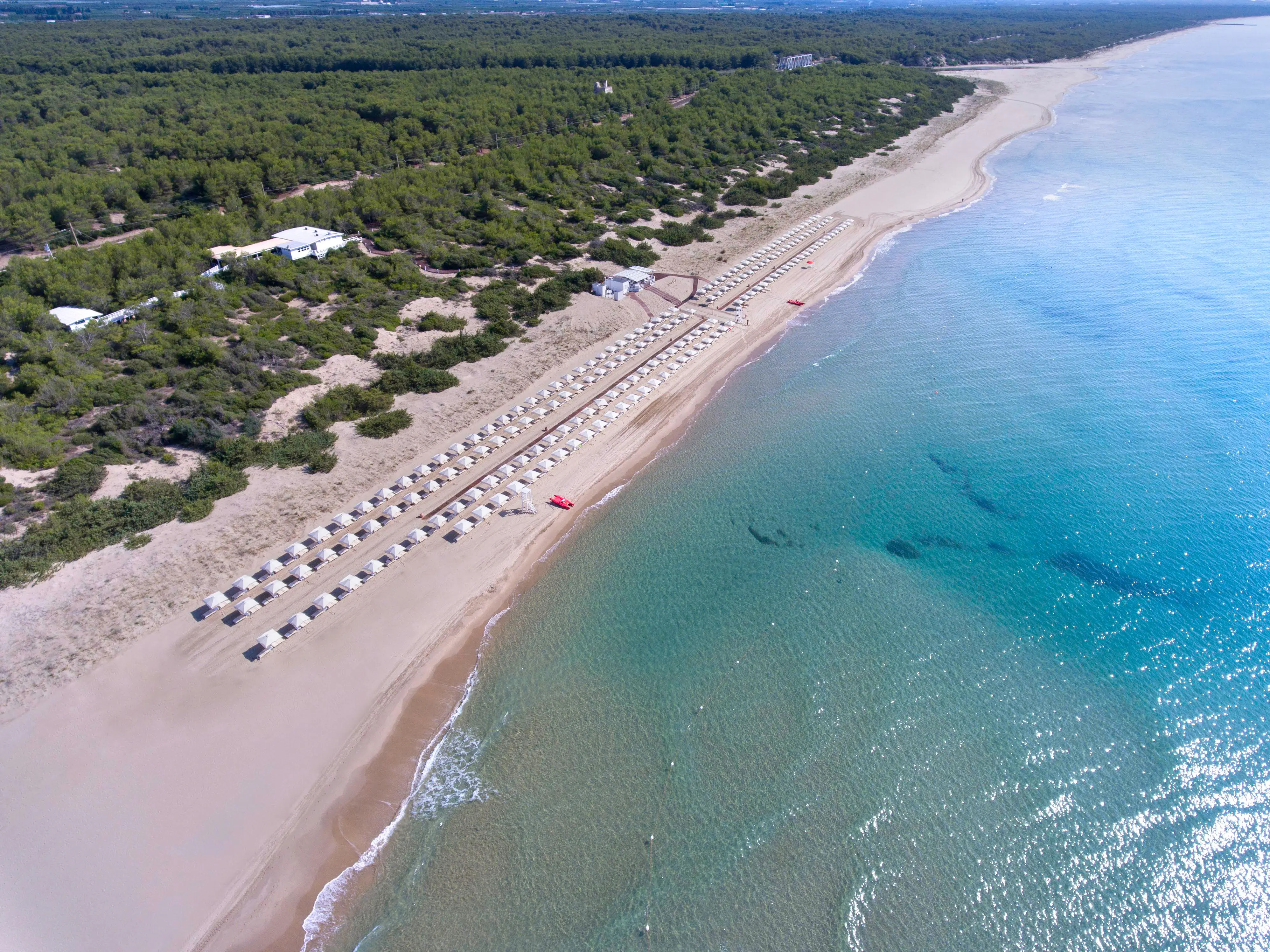 Riserva naturale di Stornara, l’anima selvatica della Puglia sulle spiagge ioniche