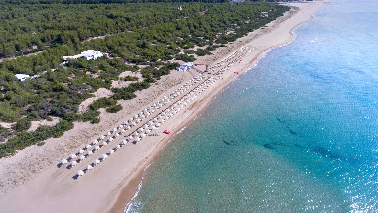 La spiaggia del Kalidria hotel & Thalasso Spa, immersa nella riserva naturale di Stornara