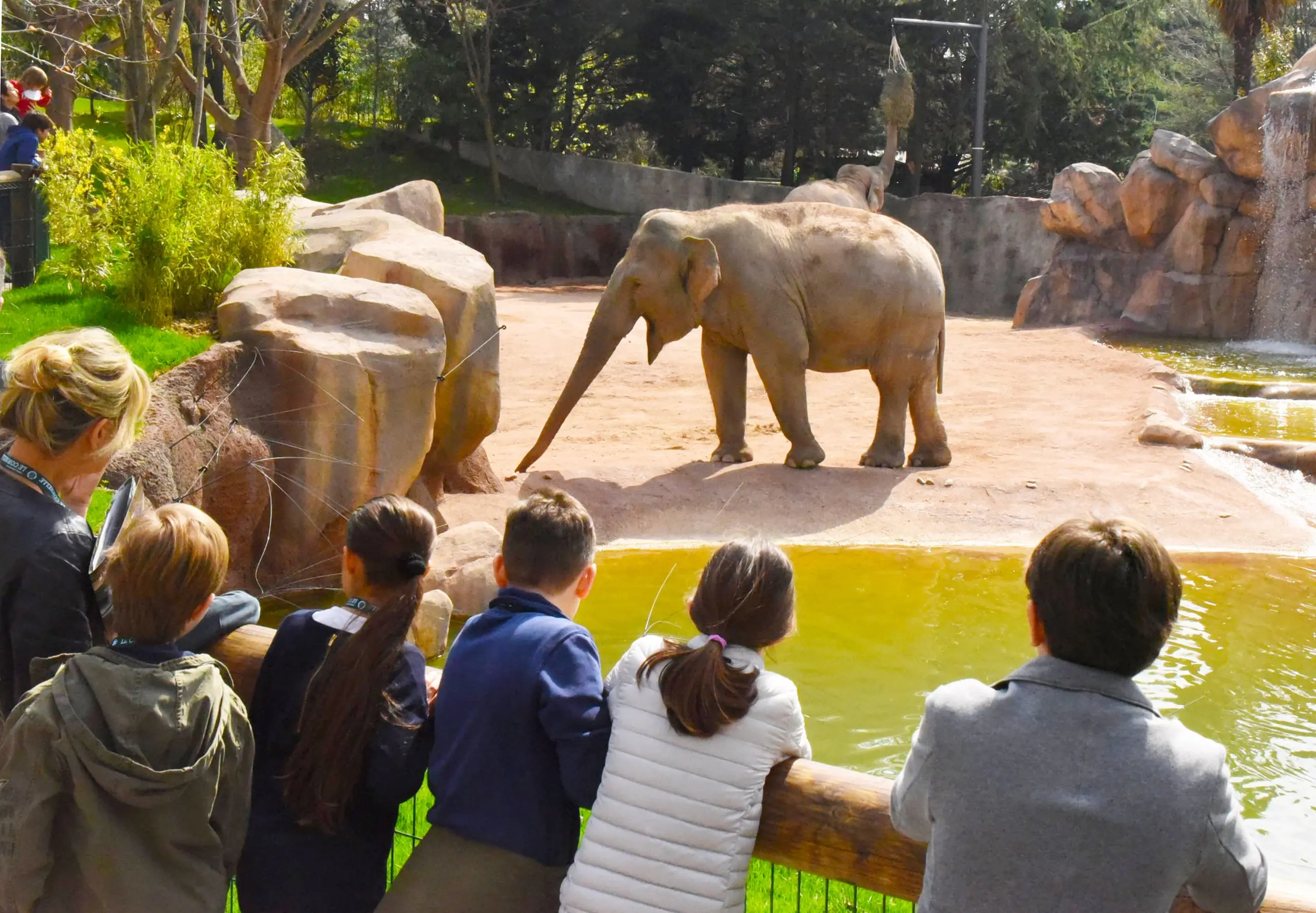 Conoscere gli animali: ecco 10 parchi faunistici in Italia dove andare coi bambini