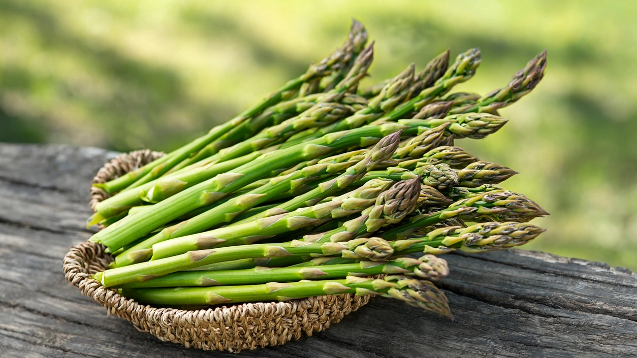 Asparagus. Fresh Asparagus.