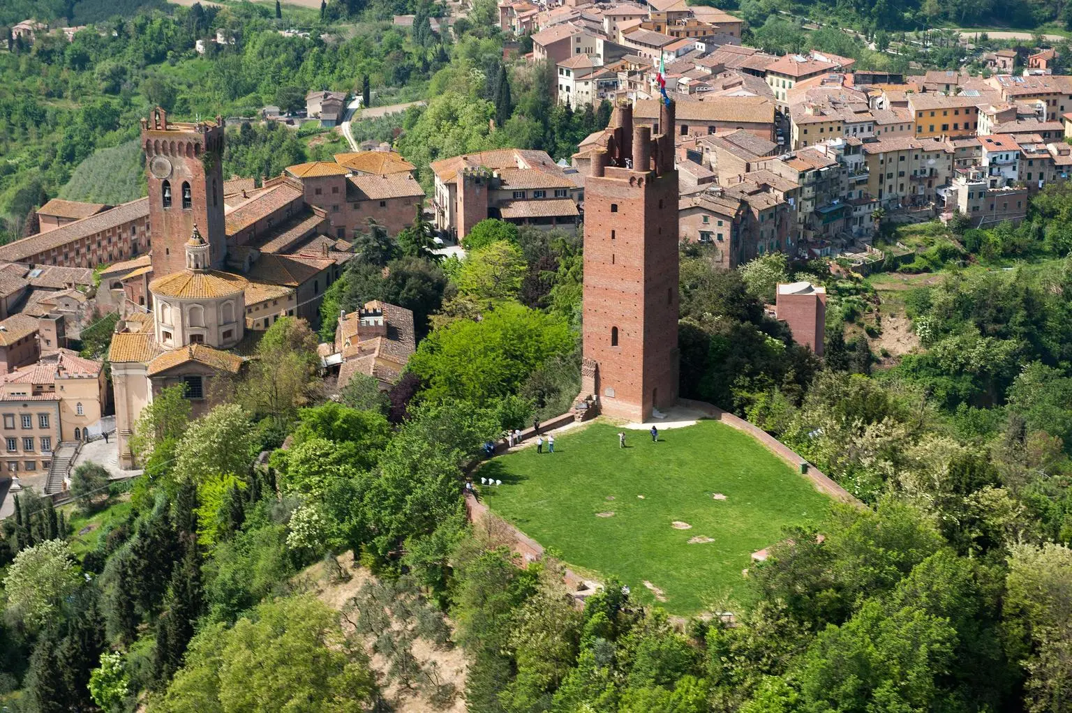 San Miniato, nasce il Museo del tartufo: storia e segreti di cerca e cavatura