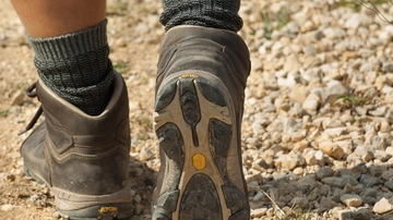 Perché camminare all'indietro fa bene alla salute e al cervello: i segreti del ‘retro walking’