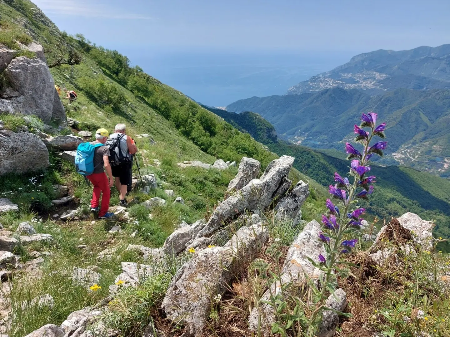 Tramonti, la montagna gourmet a due passi dalla costiera amalfitana