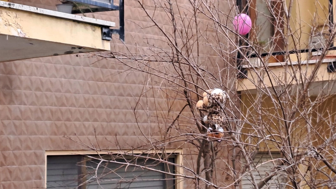 La palazzina in via Rovereto ad Ancona dalla quale una bambina di 5 anni è precipitata: l'albero che potrebbe aver attutito il colpi con i peluche incastrati (Foto Ansa)