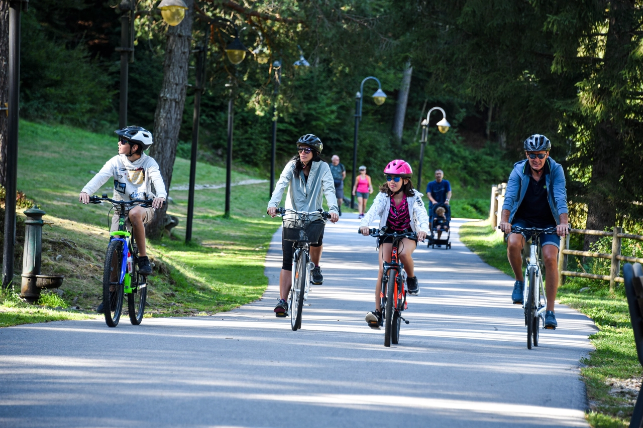 In Bici nella Pineta della Valle Vigezzo