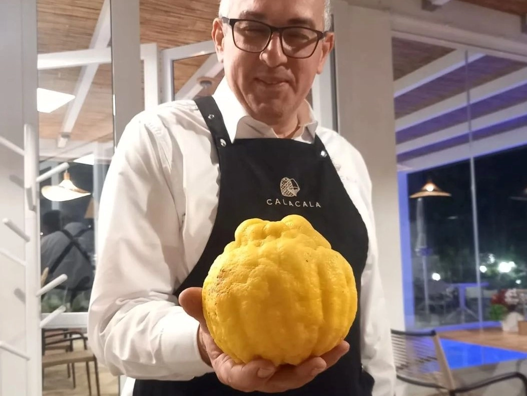 Il limone pane di Procida