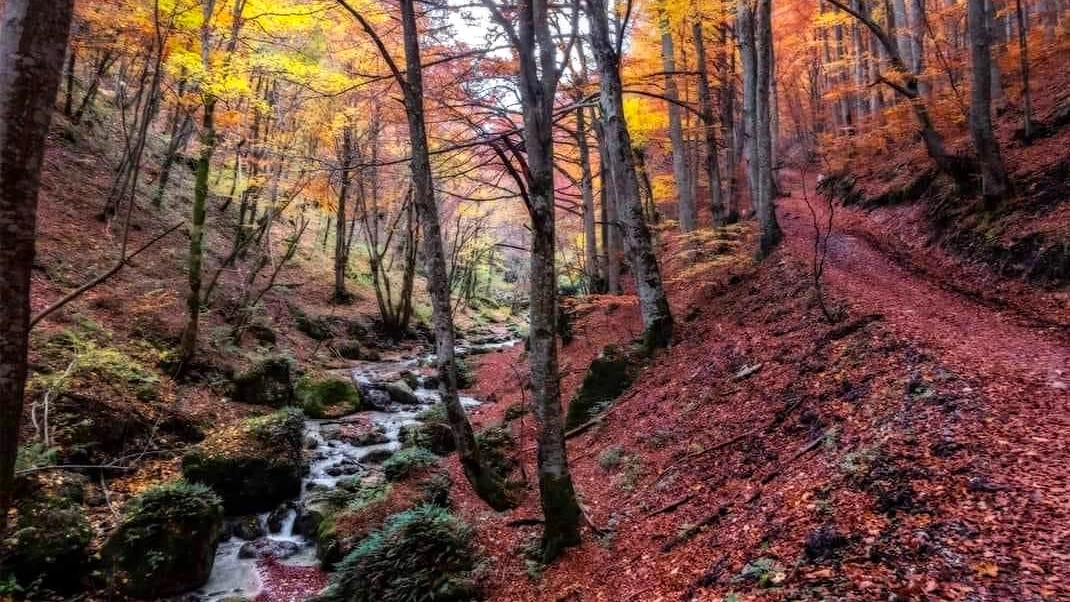 Il sentiero delle Gole dell'Infernaccio con il foliage - Possibile apertura