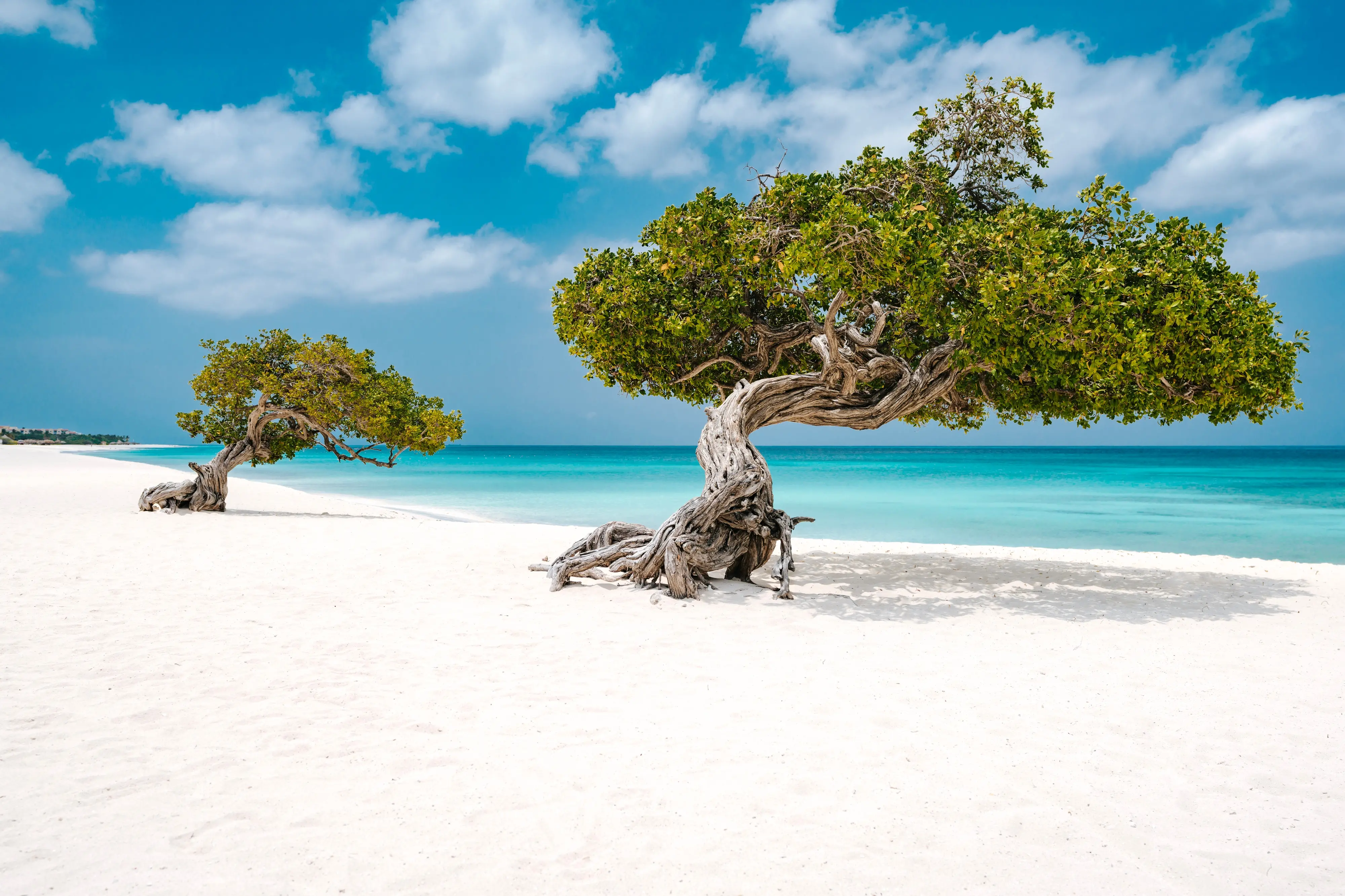 Il sole tutto l’anno: viaggio ad Aruba, l’isola felice dei Caraibi