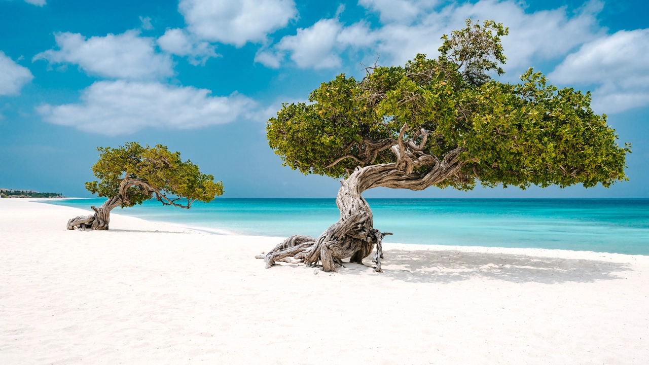 Il sole tutto l’anno: viaggio ad Aruba, l’isola felice dei Caraibi