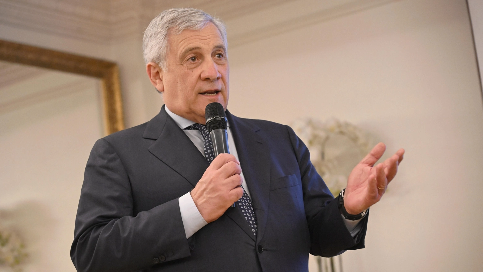 Il ministro degli Esteri, Antonio Tajani (Ansa)