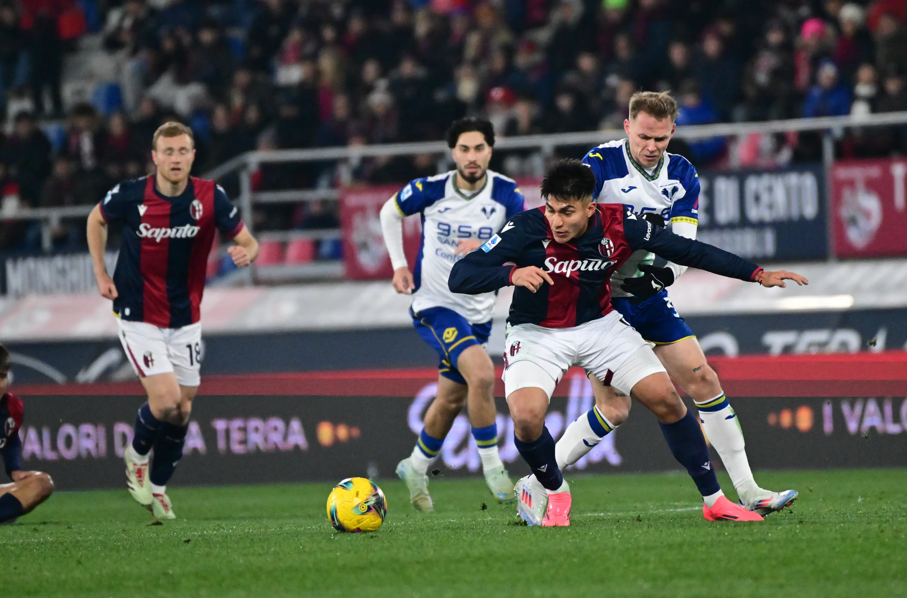 Bologna-Verona 2-3, doccia fredda al Dall’Ara