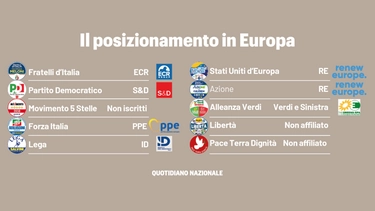 Europee 2024, quali sono i partiti (e dove andranno gli italiani)
