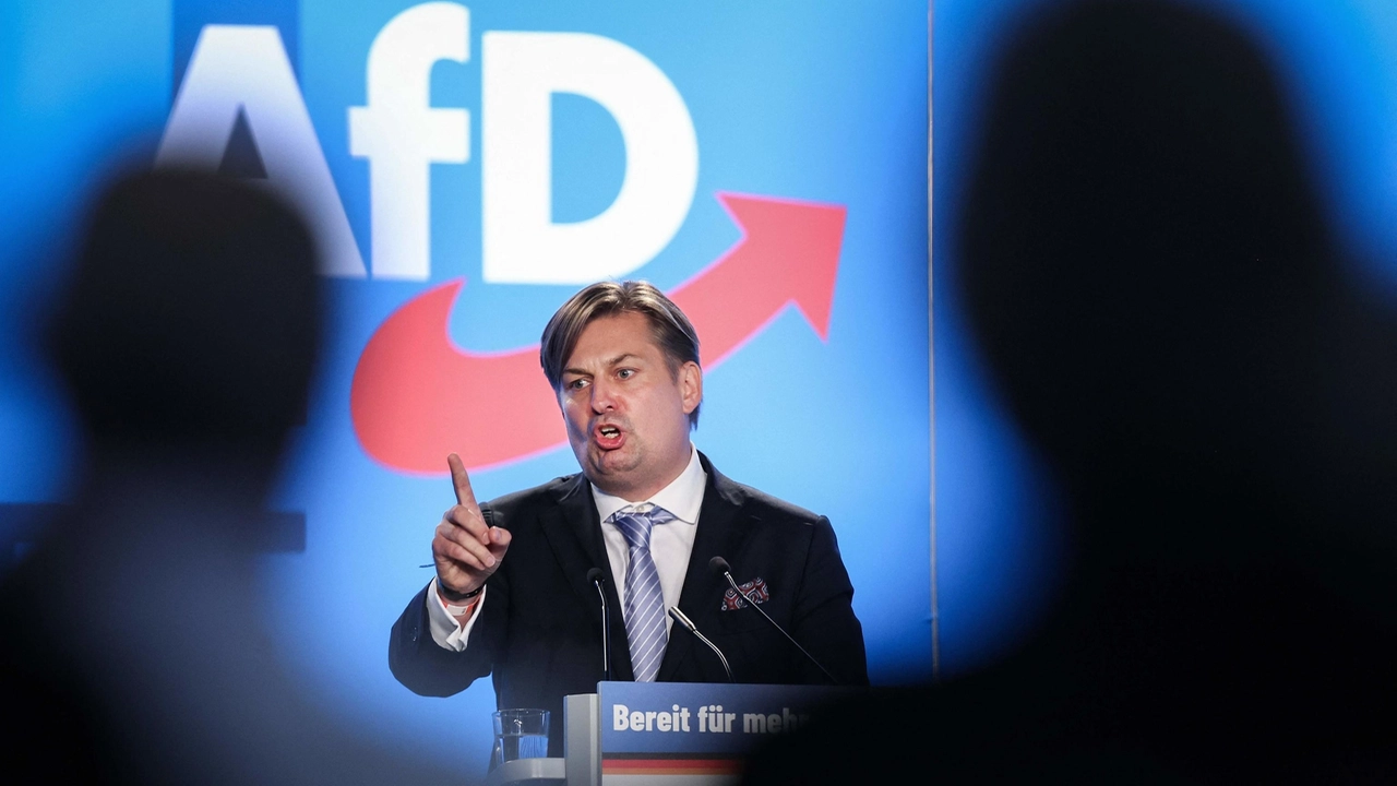 Maximilian Krah, esponente dell'Afd (Ansa)