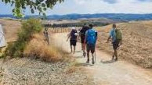 La Via Francigena si prepara a giocare un ruolo centrale nelle celebrazioni del Giubileo 2025 in collaborazione con Regione Lazio....