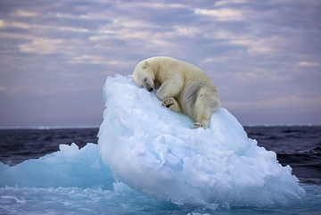 Il clima cerca il suo romanzo: "La grande cecità sta finendo"