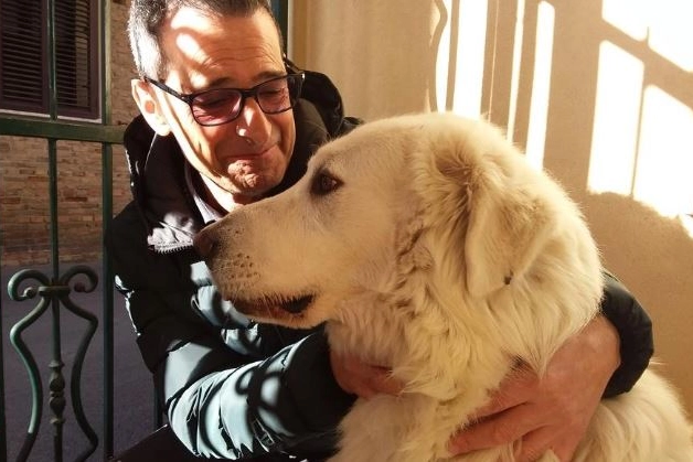 Mario Tinari e Golia, uno dei cuccioli sopravvissuti alla strage di Rigopiano, adottato dal padre di Jessica, morta nell'hotel con il fidanzato Marco Tanda