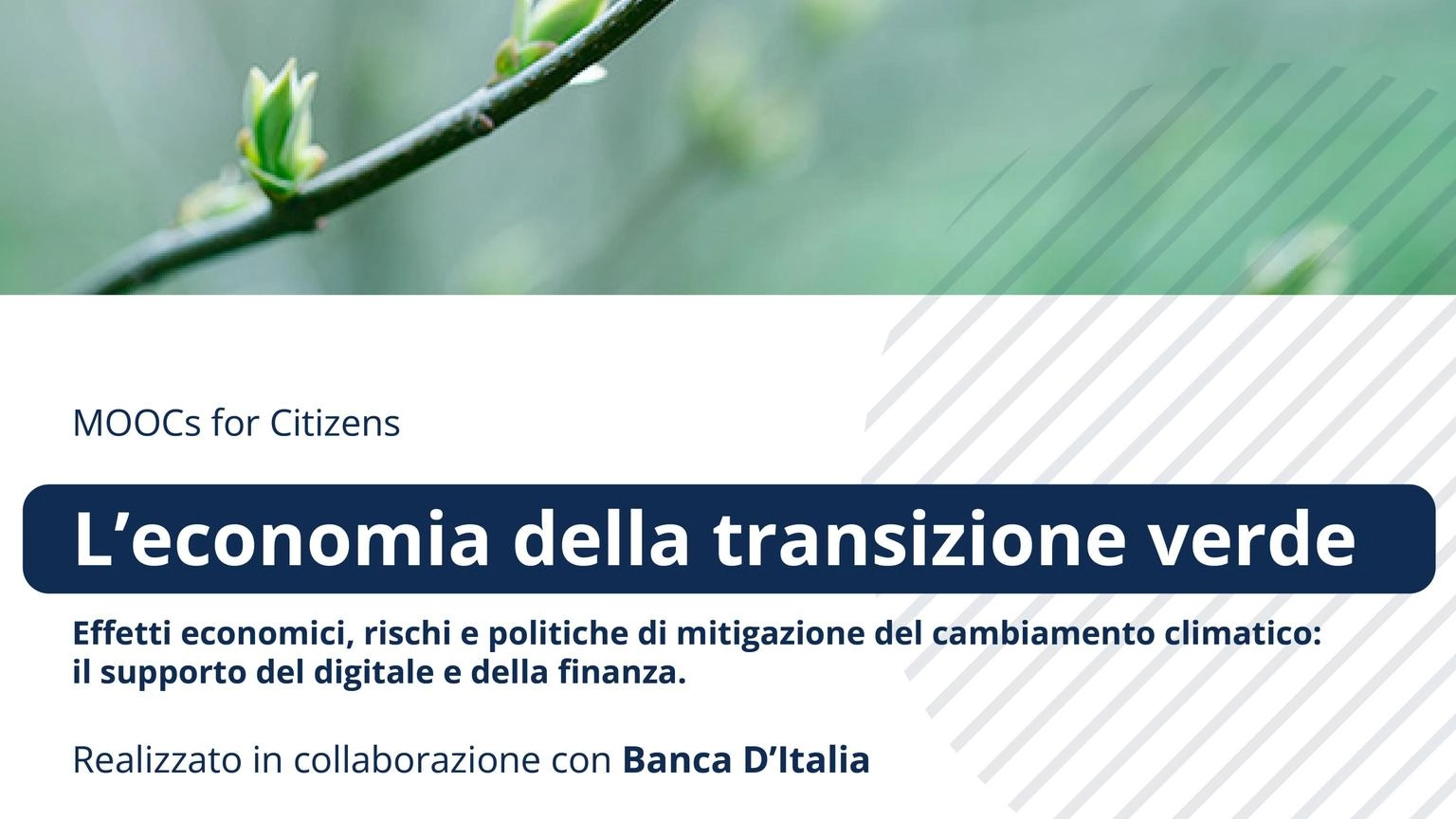 Bankitalia e Politecnico spiegano l'economia della transizione