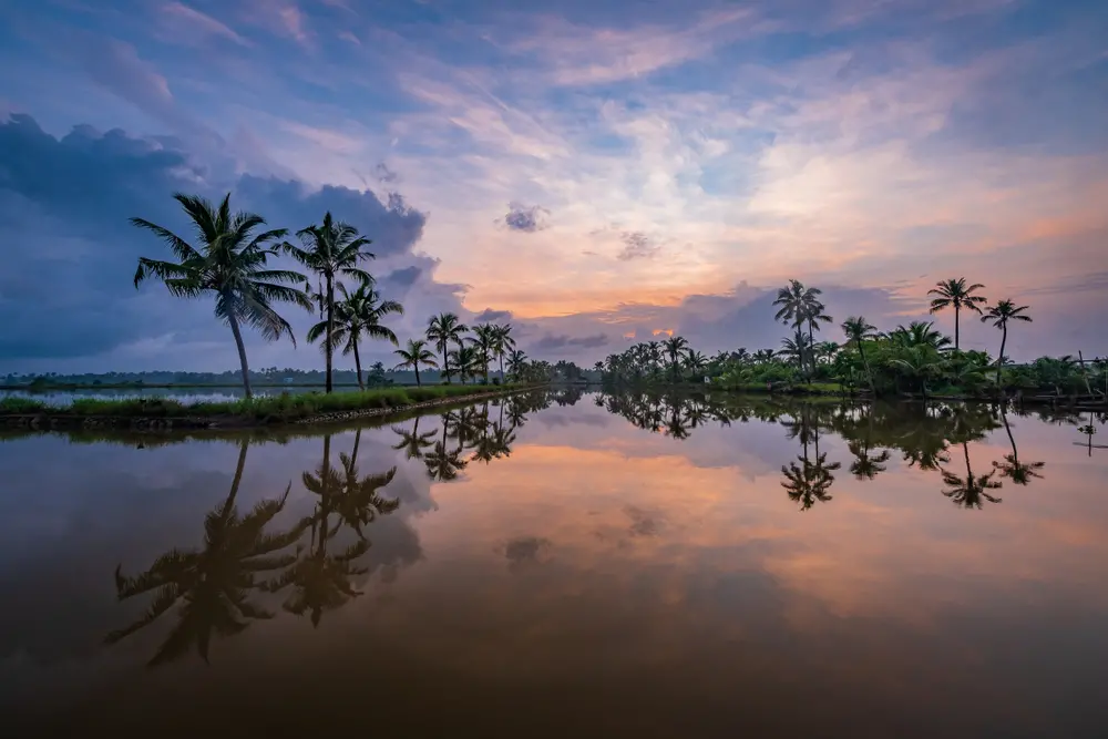 Kerala: il Paese degli Dei, culla dell’Ayurveda