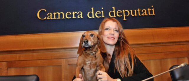 Carcere e multe più severi per chi maltratta e uccide gli animali. Brambilla esulta: “Una rivoluzione”