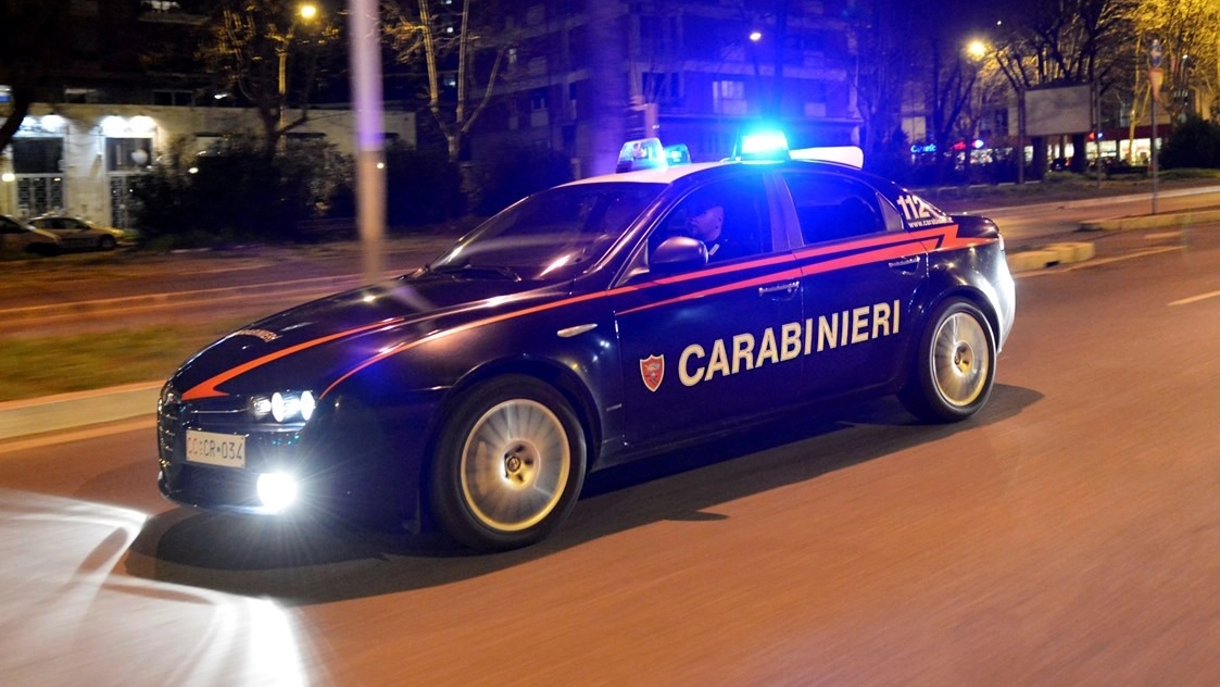 Carabinieri (foto d'archivio)