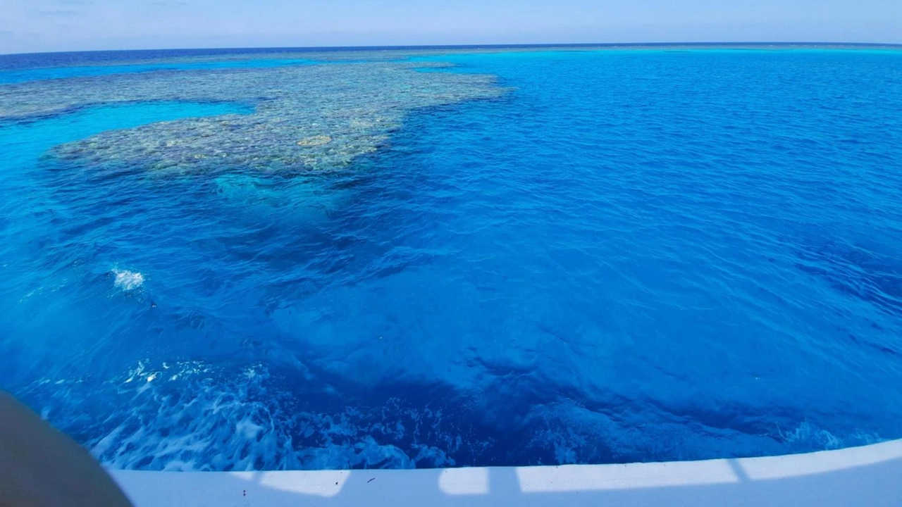 Naufraga yacht di turisti nel Mar Rosso, si cercano dispersi