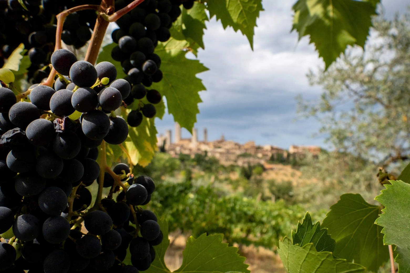 San Gimignano (Courtesy of Babbel)