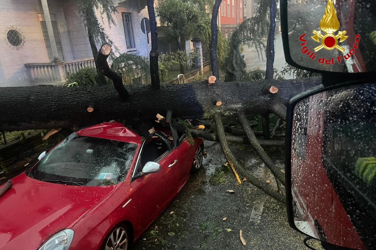 Un'auto distrutta da uno dei tanti alberi caduti