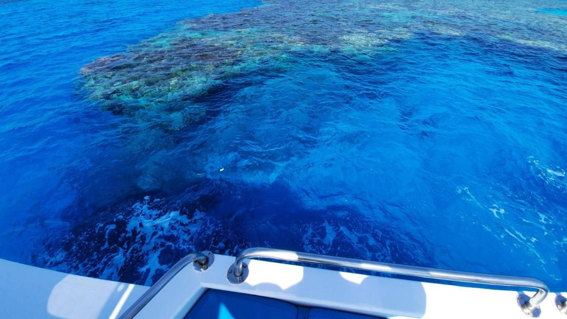 Peppino Fappani è il ferito da uno squalo nel Mar Rosso