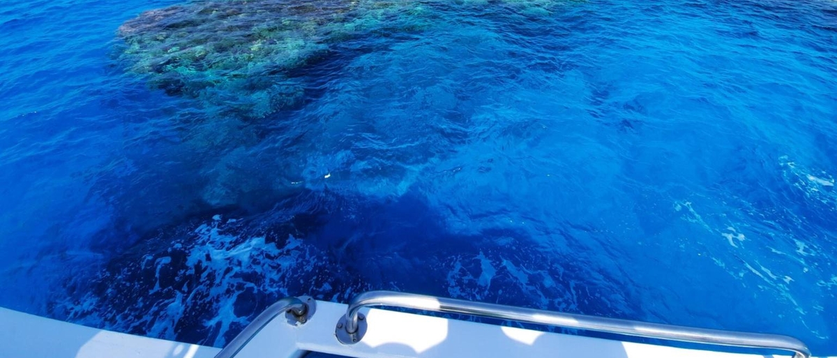 Peppino Fappani è il ferito da uno squalo nel Mar Rosso