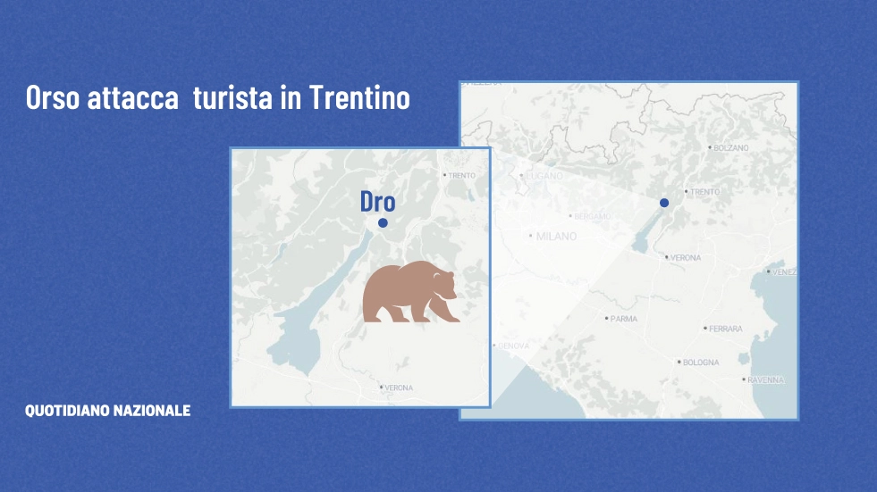 Trentino: questa mattina un orso ha attaccato un turista francese a Dro. L'uomo non è in pericolo di vita