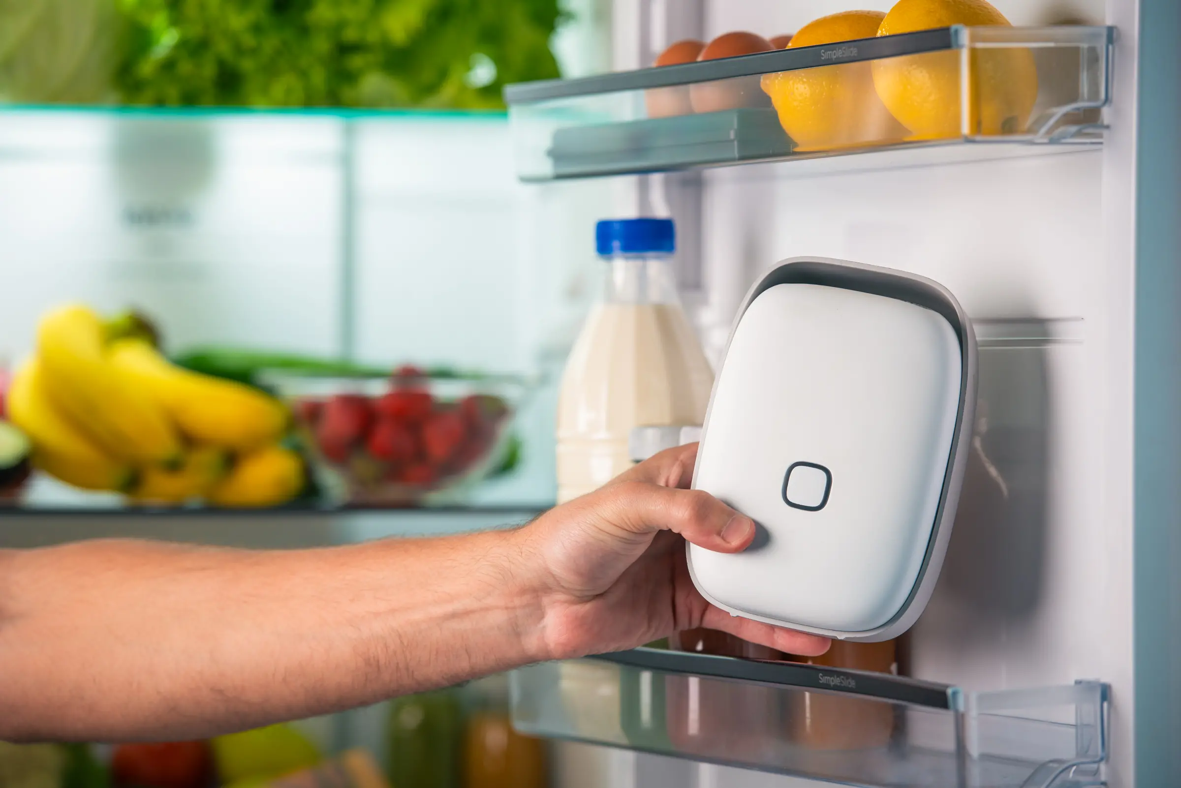 Vitesy, la startup che combatte lo spreco alimentare purificando l'aria del frigo