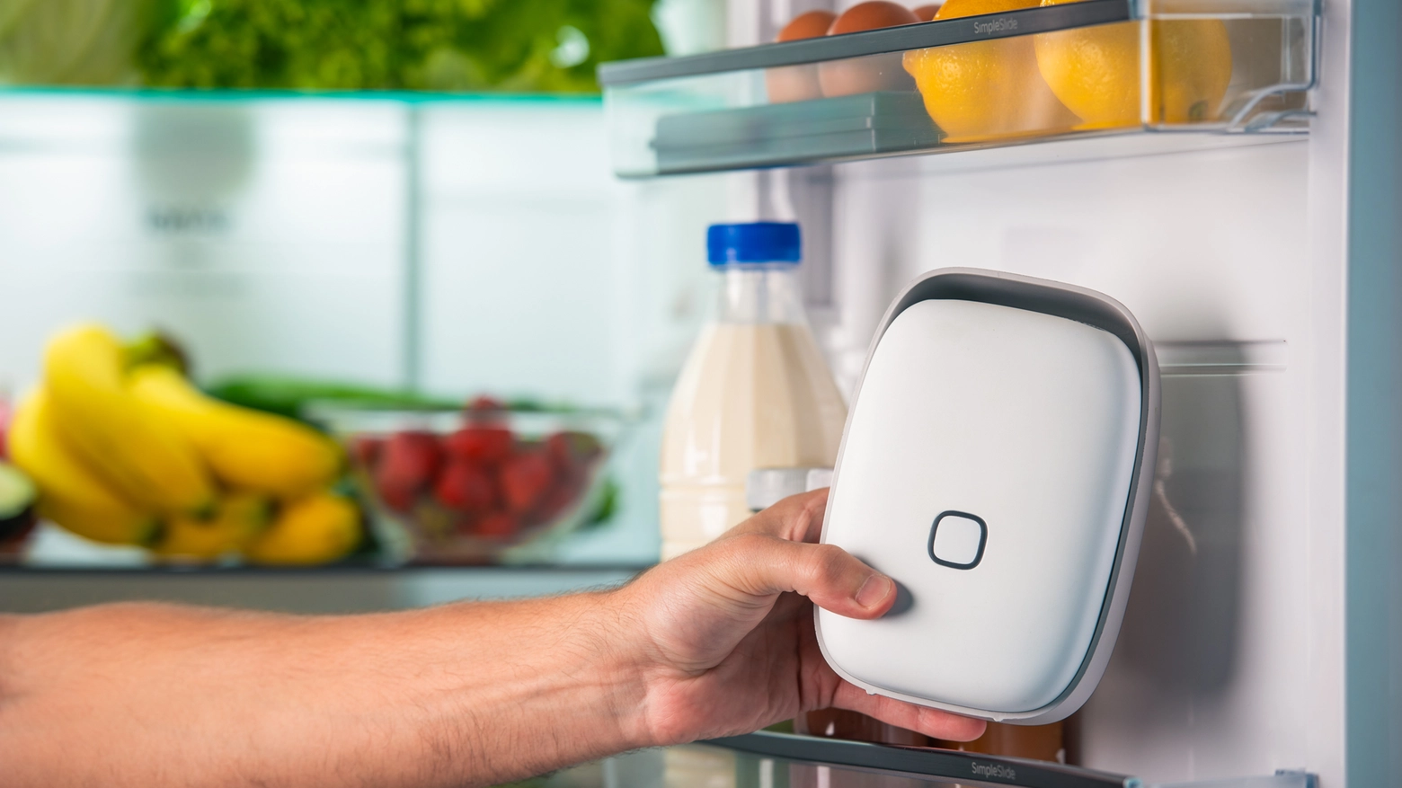 Vitesy, la startup che combatte lo spreco alimentare purificando l'aria del frigo 