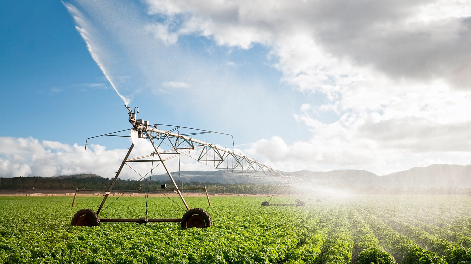 Imprese agroalimentari, l’indagine di Nomisma: la transizione ecologica ed energetica è possibile