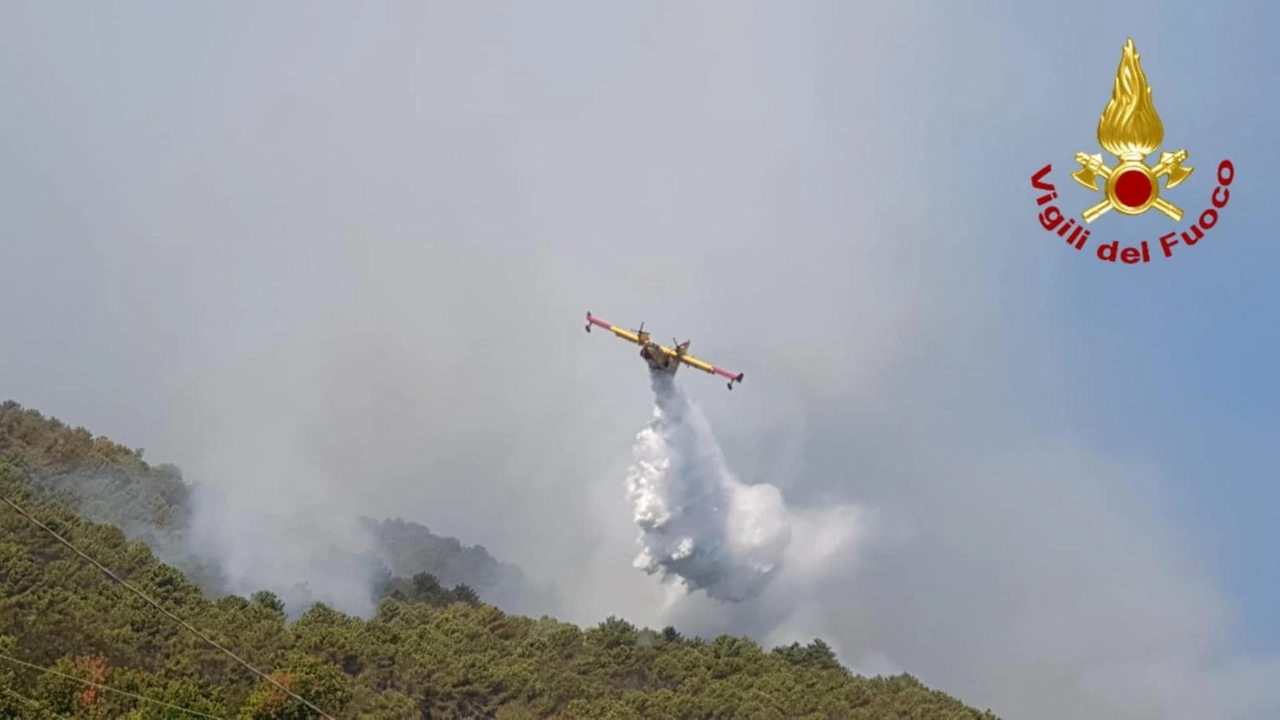 Protezione Civile, in particolare da Calabria, Lazio e Sicilia